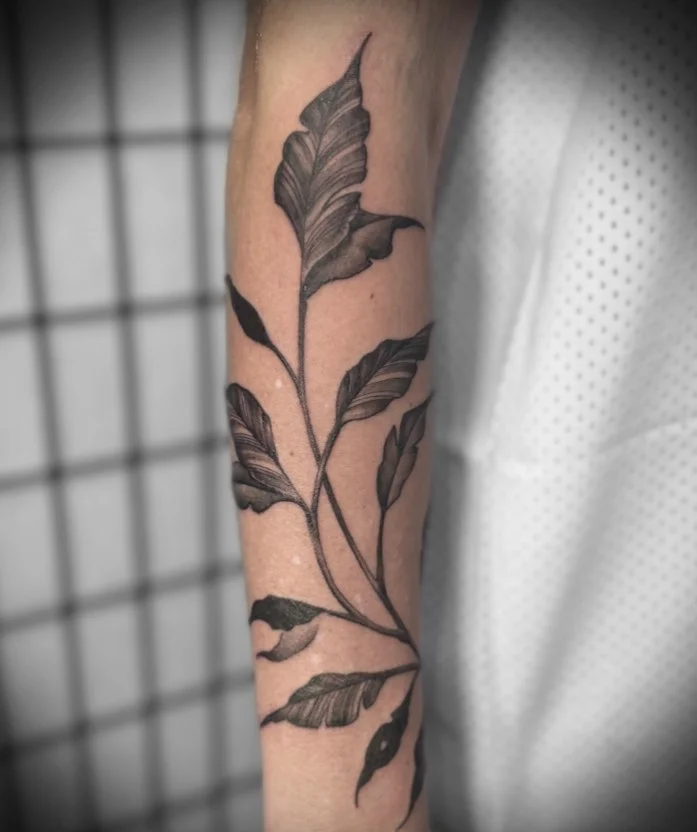 Upper forearm tattoo women bold blackwork botanical leaves