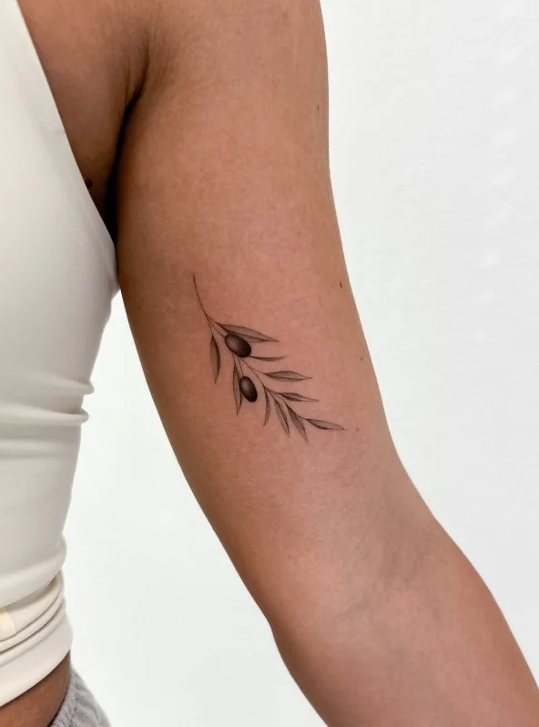 Minimal olive branch tattoo following the natural shape of the inner upper arm