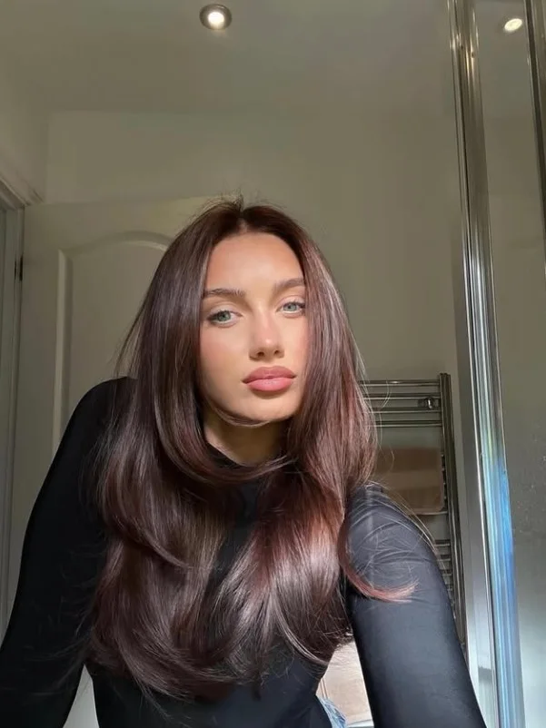 Dark cherry brown hair combining deep brunette tones with glossy red-violet reflections.