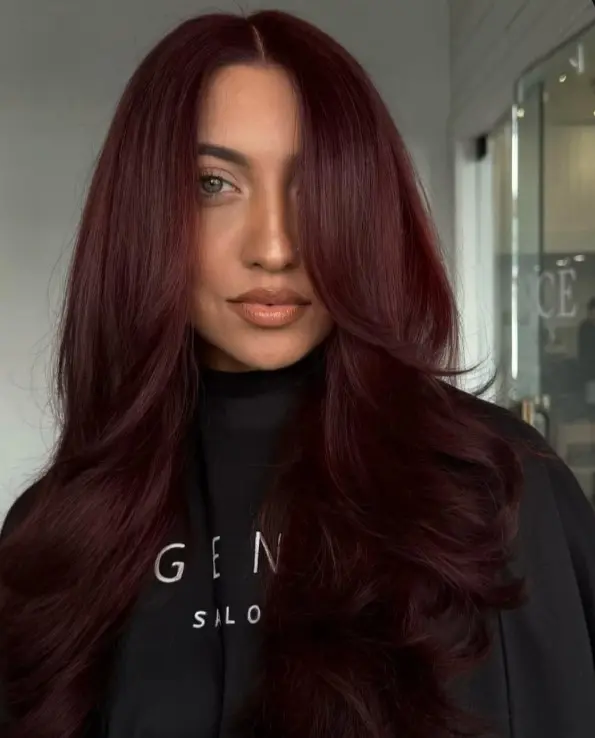 Deep burgundy hair with dark wine-red and violet tones.