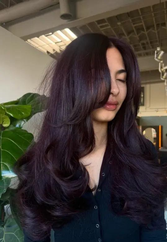 Deep cherry brown hair with a cool violet-red gloss